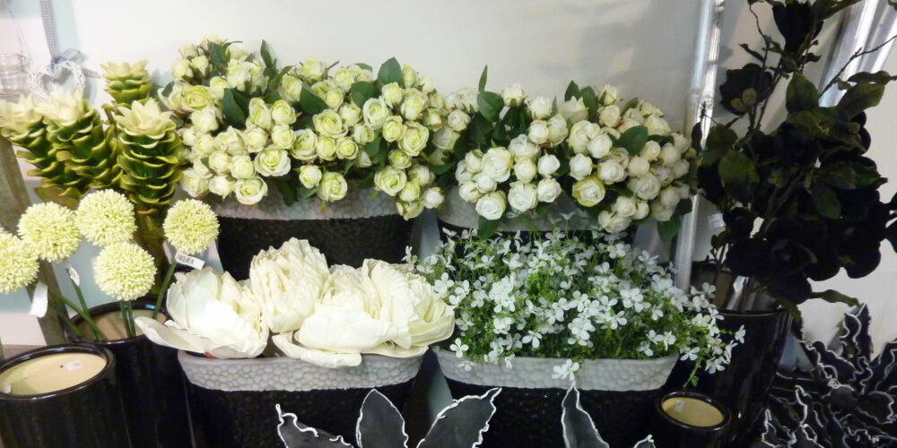 P1050960 P1050960